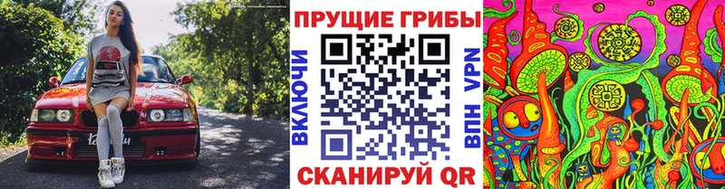 где можно купить наркотик  Заинск  Галлюциногенные грибы ЛСД 